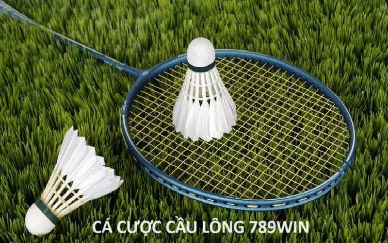 Cá Cược Cầu Lông 789WIN: Các Loại Kèo Và Bí Kíp Từ Cao Thủ