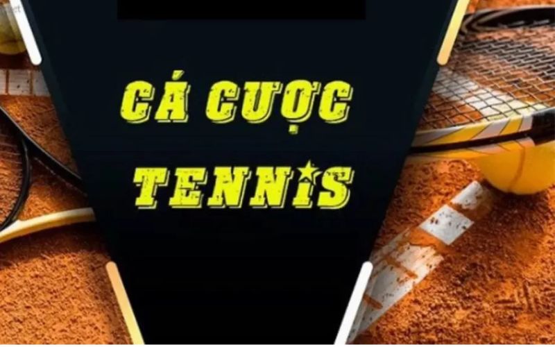 Cá Cược Tennis 789win - Mọi Điều Tân Thủ Cần Biết Khi Tham Gia